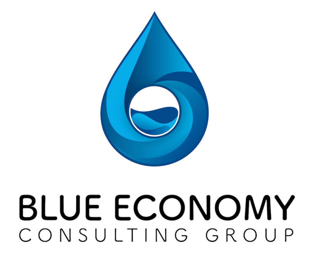 Blue Economy Group logo